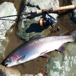 なかなか厳しい天竜川